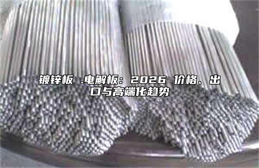 镀锌板 .电解板：2026 价格、出口与高端化趋势