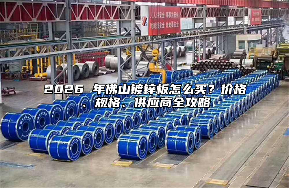 2026 年佛山镀锌板怎么买？价格、规格、供应商全攻略