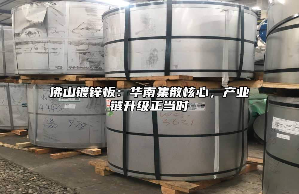 佛山镀锌板：华南集散核心，产业链升级正当时