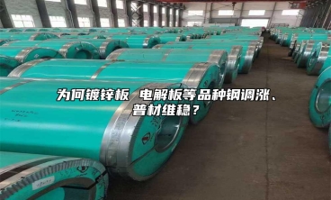 为何镀锌板 电解板等品种钢调涨、普材维稳？