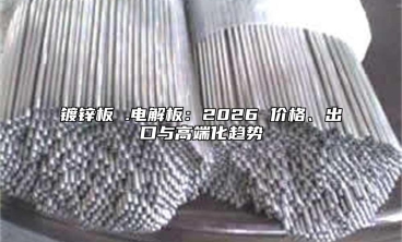 镀锌板 .电解板：2026 价格、出口与高端化趋势
